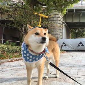 Meet your Posher, Teagan