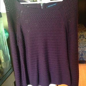 Burgundy American Eagle Zip Sweater