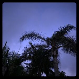 Meet your Posher, Sydney