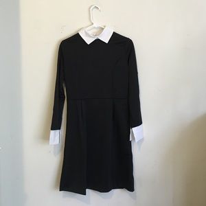 Black dress with white collar and cuffs . Zip up