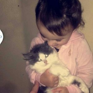 Meet your Posher, Bella