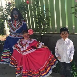 Meet your Posher, Rosa isabella