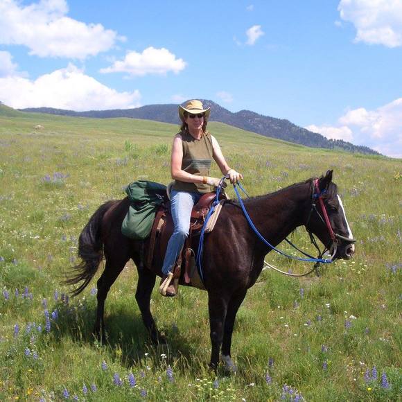 Meet your Posher, Robin