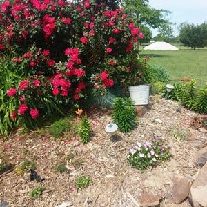 Meet your Posher, Susan