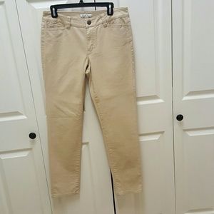 CABI pants