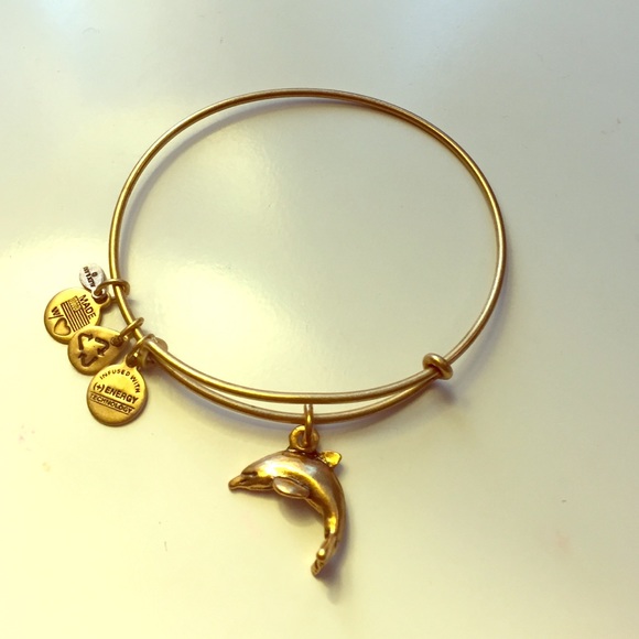 Alex and Ani dolphin charm bracelet