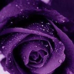 Meet your Posher, Rita