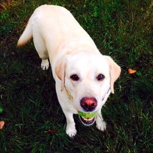 Meet your Posher, Vicki