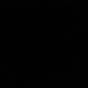 Meet your Posher, Deerious