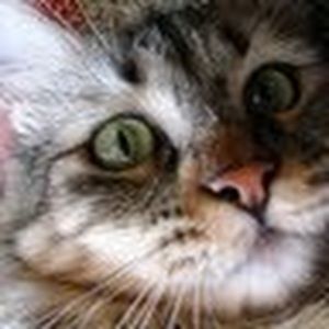 Meet your Posher, Marina