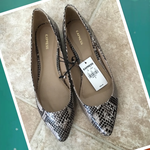 Brand New Express Flats