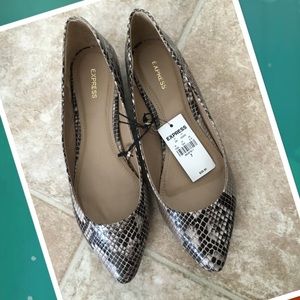 Brand New Express Flats