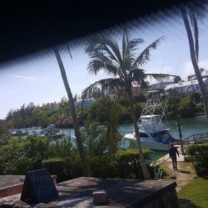 Meet your Posher, Patricia