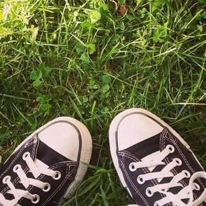 Meet your Posher, Holly