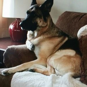 Meet your Posher, Phyllis