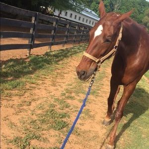 Meet your Posher, Samantha