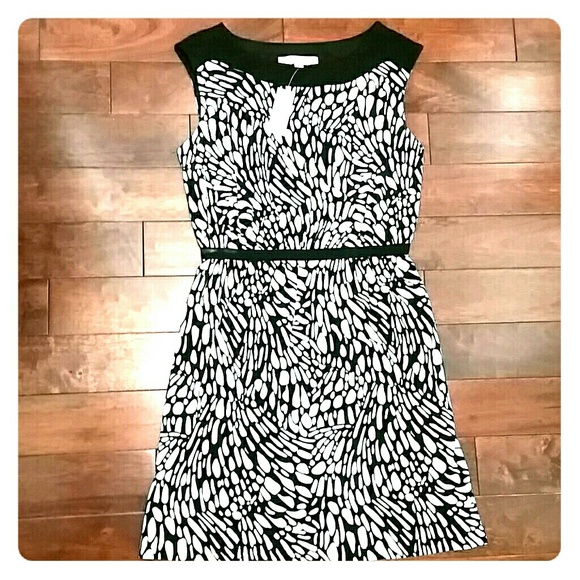 LOFT Dress - Short, Black & Ivory