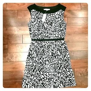 LOFT Dress - Short, Black & Ivory