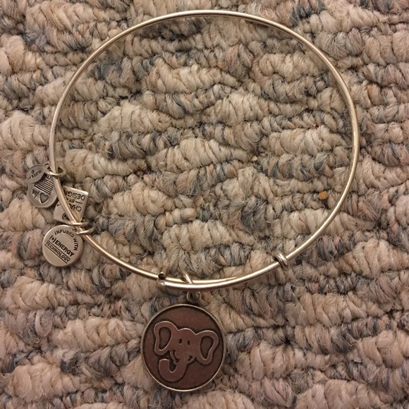 Alex and ani! - Picture 1 of 1