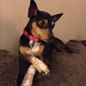 Meet your Posher, Danielle