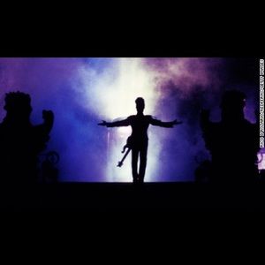 Meet your Posher, Trenna