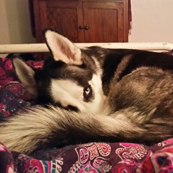 Meet your Posher, Brianne - Picture 2 of 2