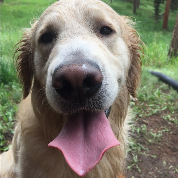 Hola🌴🌴!!! - Picture 4 of 6