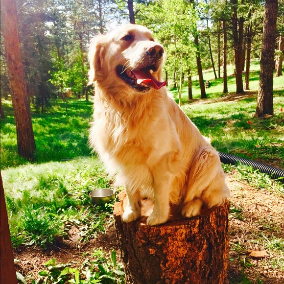 Hola🌴🌴!!! - Picture 5 of 6