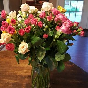 Meet your Posher, Beverly