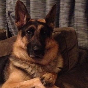 Meet your Posher, Toni