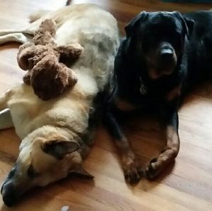 Meet your Posher, Adrienne