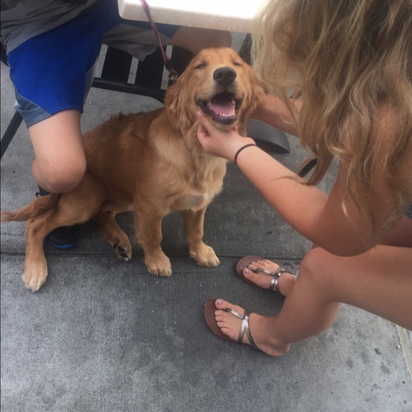 Meet your Posher, Avery