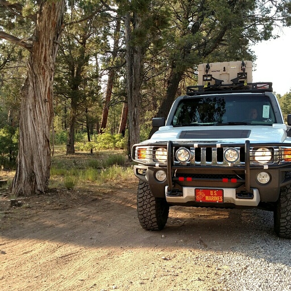 Meet your Posher, Regena - Picture 5 of 16