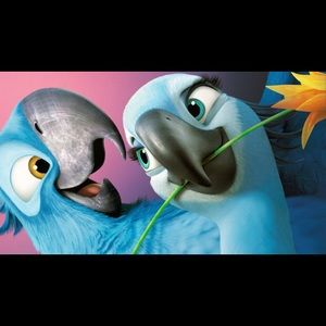 Meet your Posher, Reyna