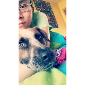 Meet your Posher, Rebecca