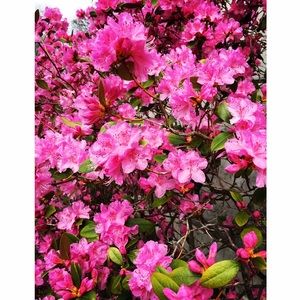 Meet your Posher, Gianna