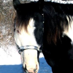 Meet your Posher, Mary