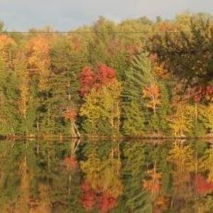 Meet your Posher, Brandy