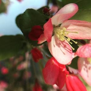 Meet your Posher, Kait