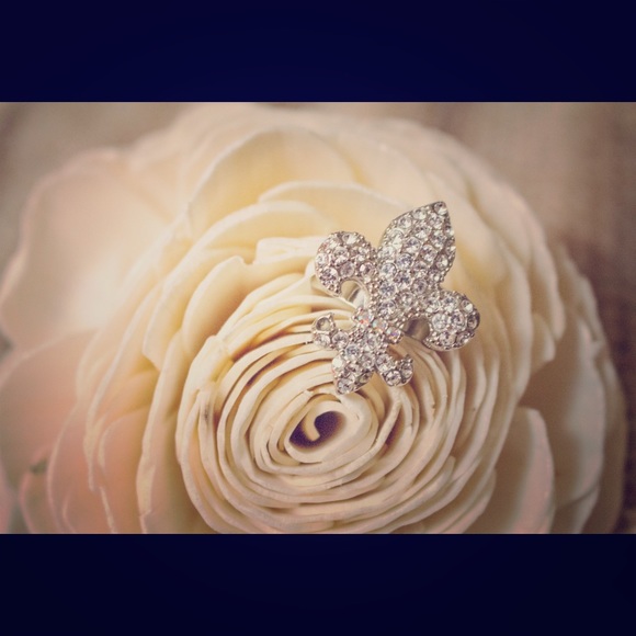 Royal Silver Ring - Picture 1 of 3