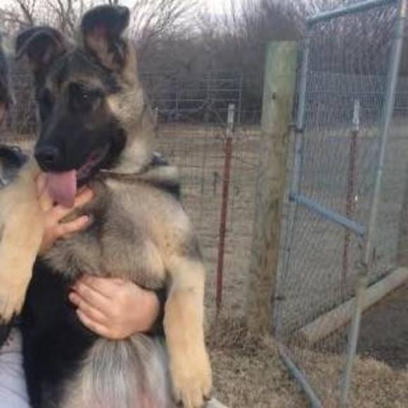 Meet your Posher, Chyanne