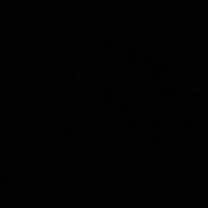 Meet your Posher, Bianca