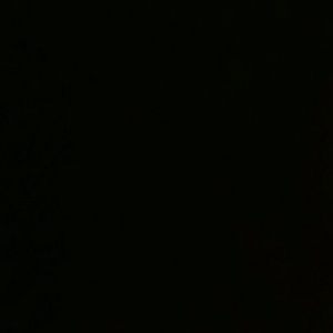 Meet your Posher, Tayler