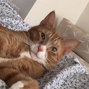 Meet your Posher, Ginnia