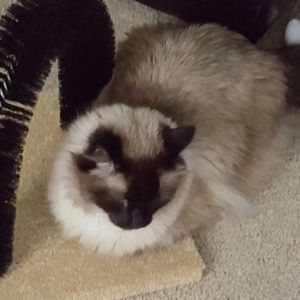 Meet your Posher, Gerry