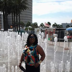 Meet your Posher, Laurinae