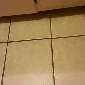 Meet your Posher, Bruce