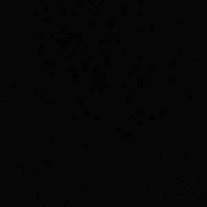 Meet your Posher, Tessie