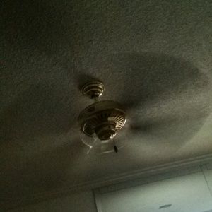 Meet your Posher, Renay