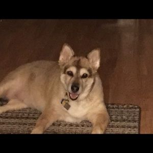 Meet your Posher, Susan